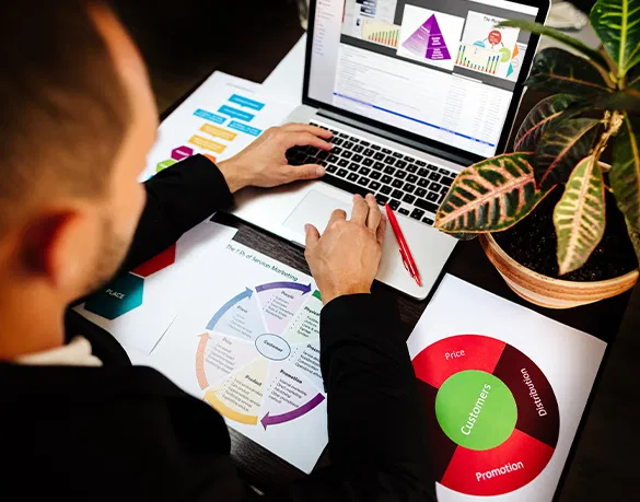 Intelia Qué Hacemos 2